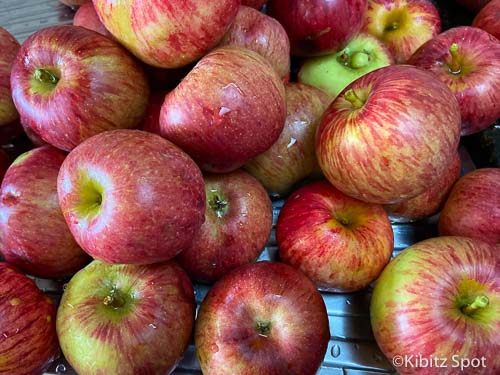 Apple from our tree used in our charoset recipe