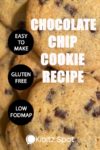 Close up of Gluten Free Low FODMAP Chocolate Chip Cookies