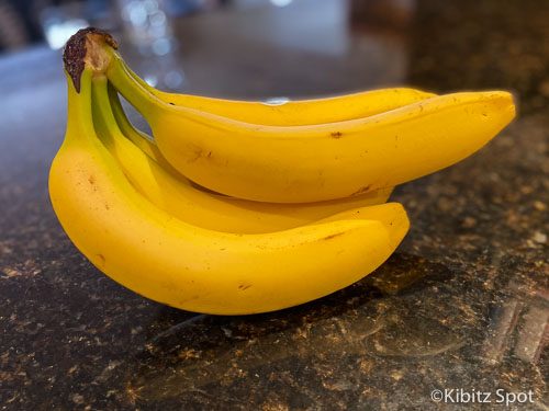 A hand of slightly under ripe bananas