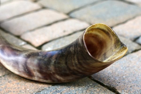 Rams horn shofar