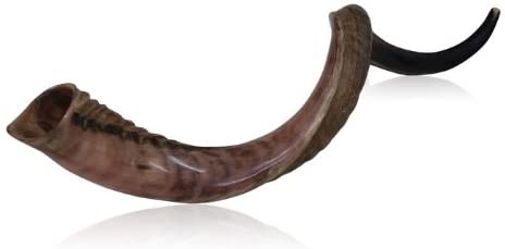 Half Polished Kudu Horn Shofar