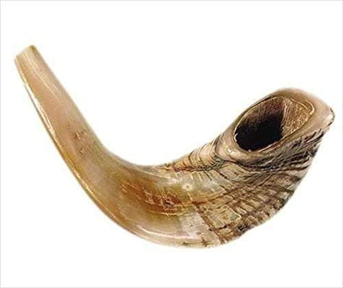 Half Polished Rams Shofar Jericho type