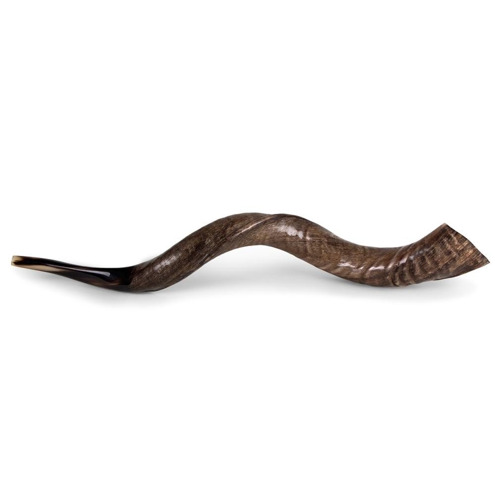 Shofar Buying Guide What You Want to Know Before You Buy a Shofar