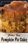 Gluten free pumpkin cake