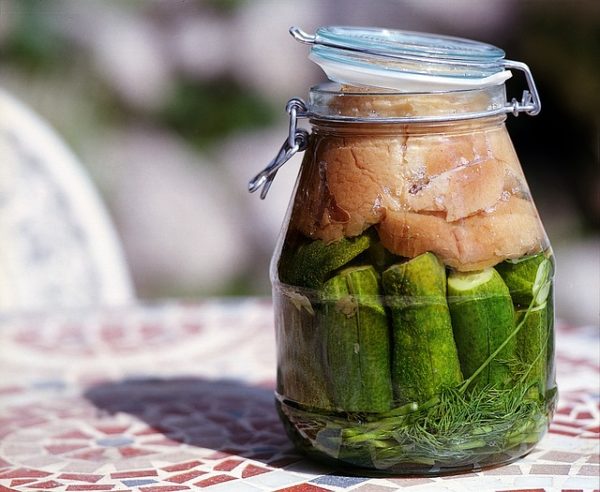 Hungarian pickles fermenting with bread on top