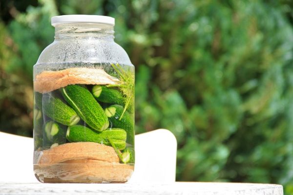 Hungarian pickles fermenting in the sun