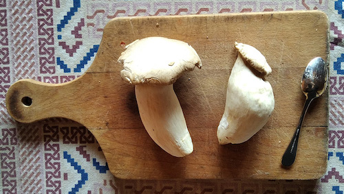 Two king oyster mushrooms on a cutting board