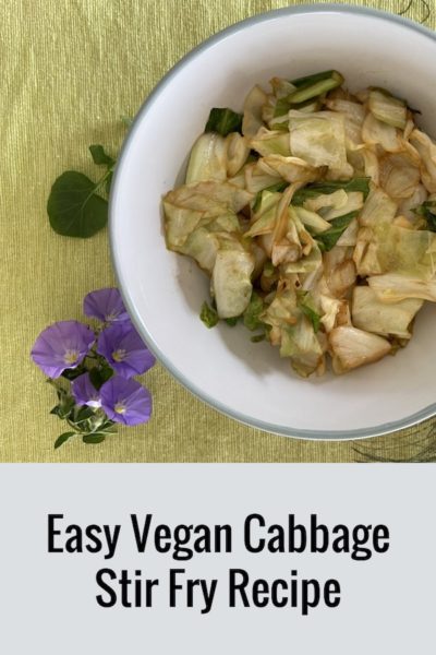 vegan cabbage stir fry