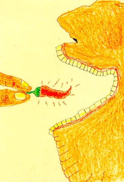 Cartoon graphic of a person eating a fermented chilli sauce drawing by Jill Culiner
