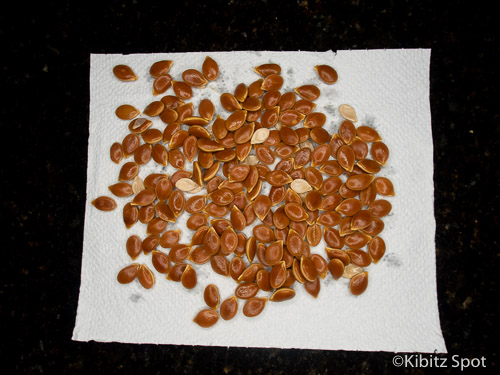 Seeds on a paper towel
