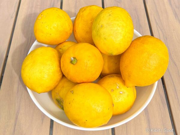 A bowl of lemons from the tree